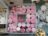 Rosen 1